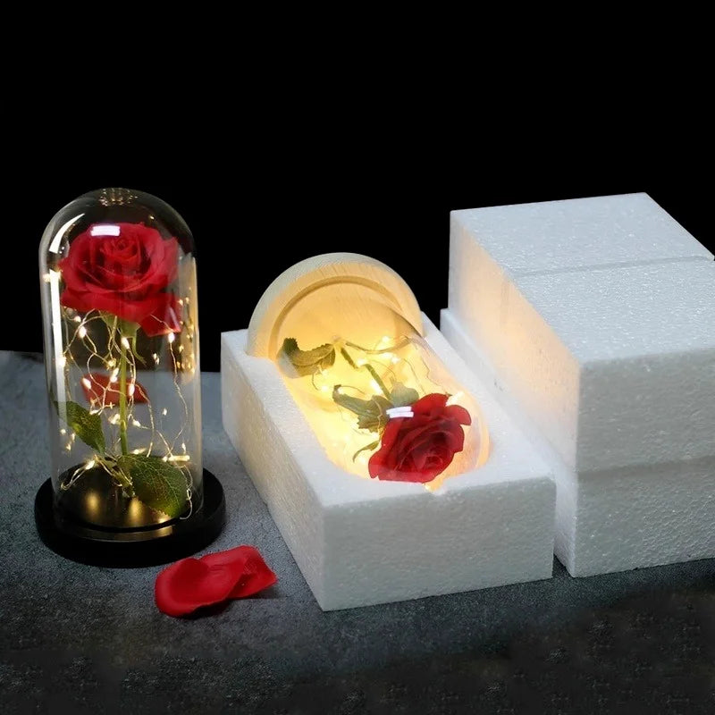 LED Rose Dome Light